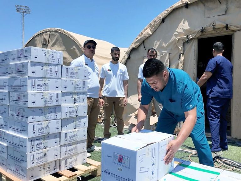 المساعدات الإماراتية إلى غزة- أرشيفية