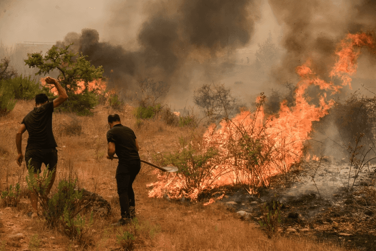 حرائق الغابات في تركيا حرائق الغابات في تركيا