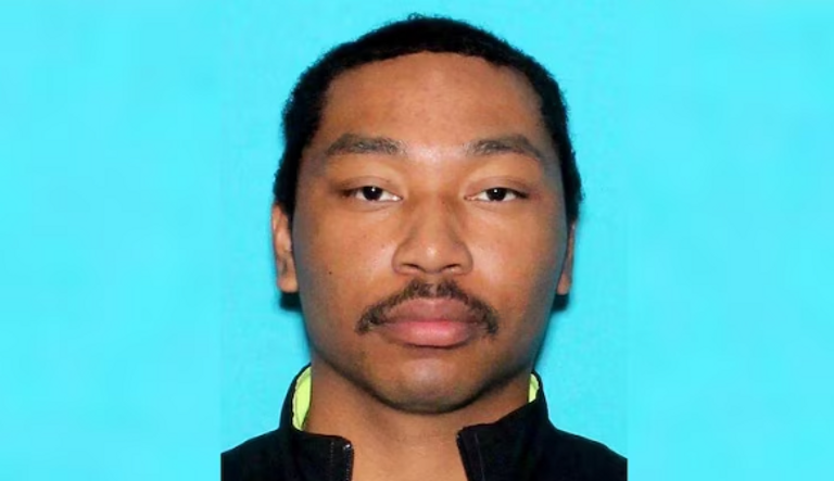 هجوم نيويورك