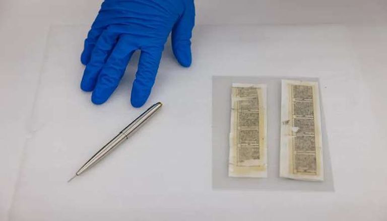 كاميرا تجسسية مثبتة على حمامة