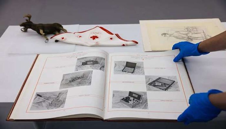 كاميرا تجسسية مثبتة على حمامة