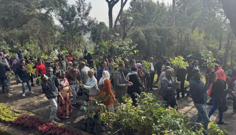 إثيوبيا تُطلق أكبر حملة تشجير: 700 مليون شتلة بمواجهة تغير المناخ