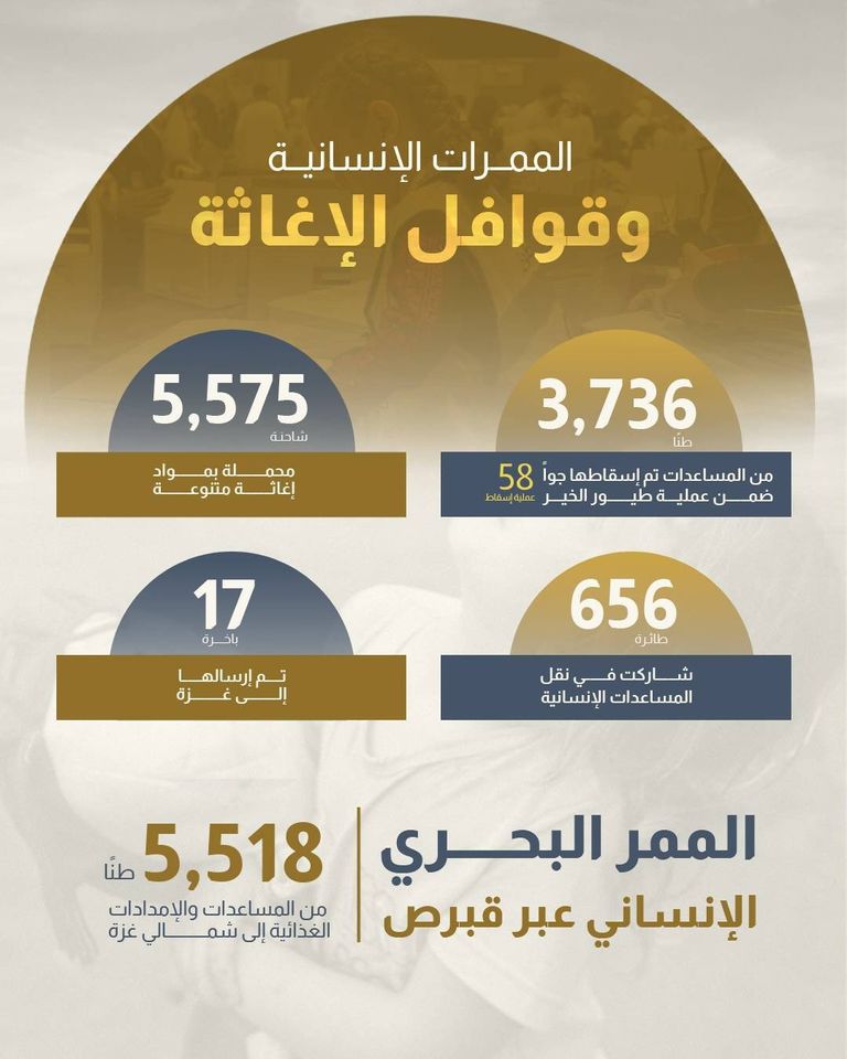 المساعدات الإماراتية إلى غزة