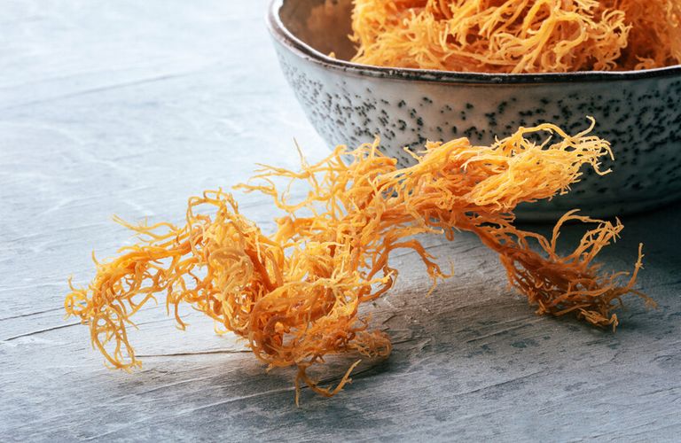 عارضة الأزياء الأمريكية بيلا حديد