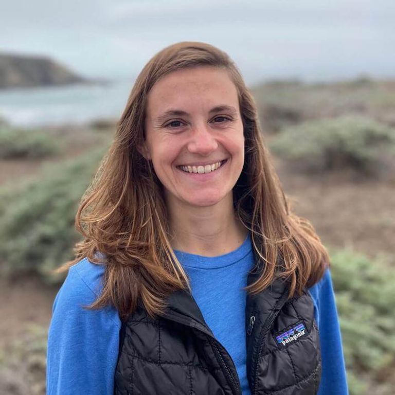 بلح البحر (مصدر الصورة: كانفا)