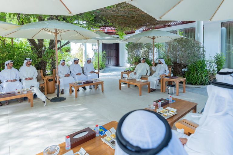 الشيخ محمد بن راشد آل مكتوم والشيخ منصور بن زايد آل نهيان