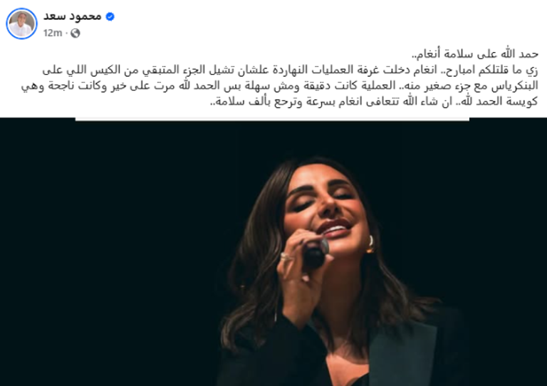 أنغام - أرشيفية