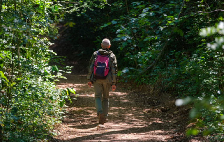 15 دقيقة في الطبيعة قد تحميك من مستويات القلق والاكتئاب والإرهاق