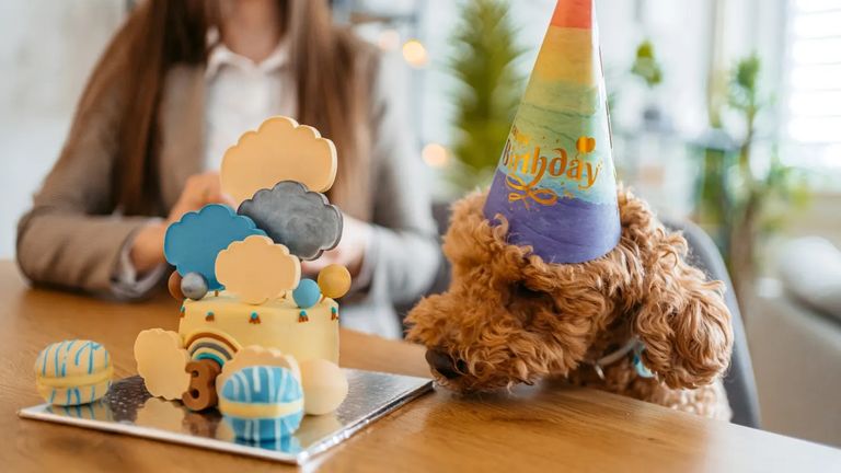 اقتصاد الترفيه اقتصاد الترفيه