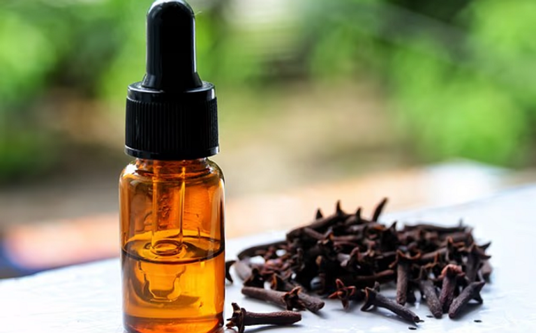 وصفة "ملكة الديدان" المثيرة للجدل تحظى بدعم نجمة هايدي كلوم