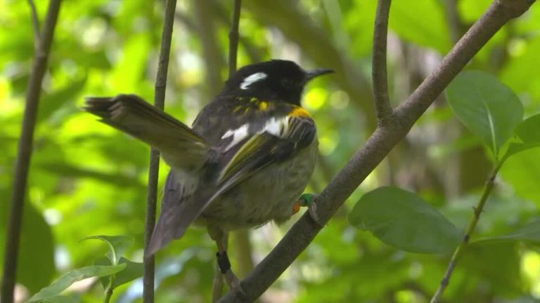 التغير المناخي يهدد الطيور - رويترز التغير المناخي يهدد الطيور - رويترز