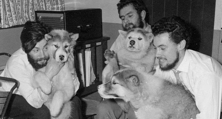 الجليد يكشف بعد 66 عاما رفات باحث بريطاني مفقود في أنتاركتيكا