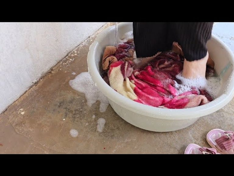 البلوغر المصرية أم ملك