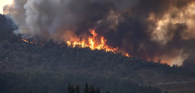 حريق غابات في المغرب حريق غابات في المغرب