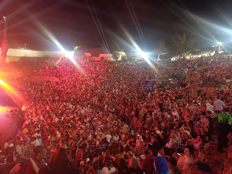 الفنانة التونسية صوفيا صادق