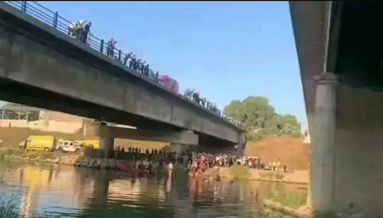 الحكم الجزائري مروان قاسمي