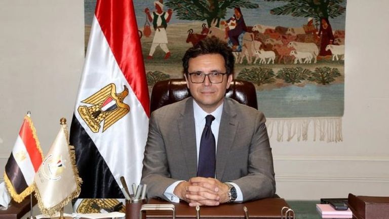نجوى فؤاد 
