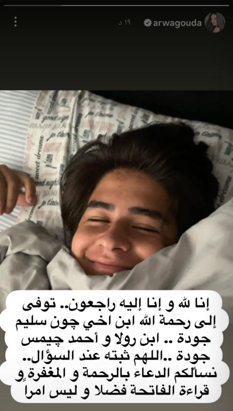 الفنانة أروى جودة