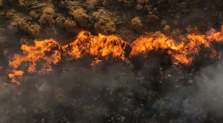 حرائق الغابات مستمرة في تركيا