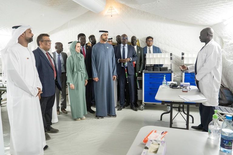 علم دولة الإمارات