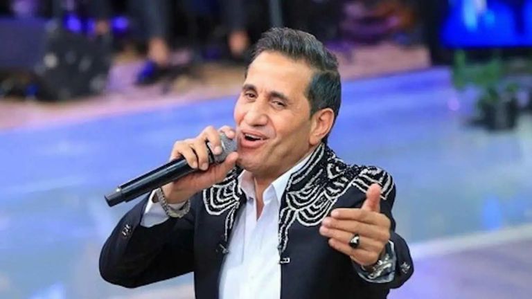 الفنان أحمد شيبة