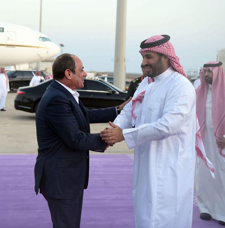 الأمير محمد بن سلمان والرئيس عبدالفتاح السيسي- أرشيفية