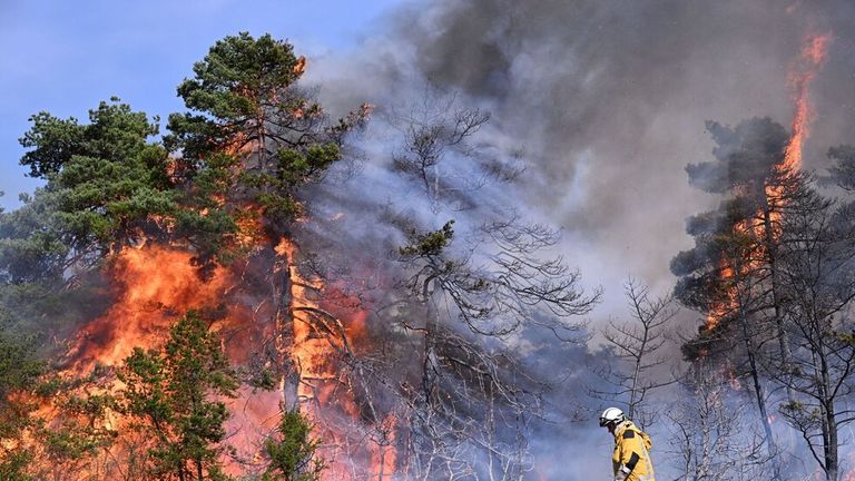 حرائق فرنسا- أرشيفية