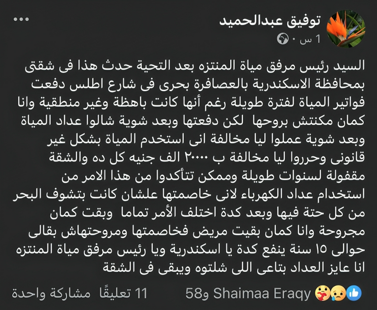 منشور توفيق عبد الحميد