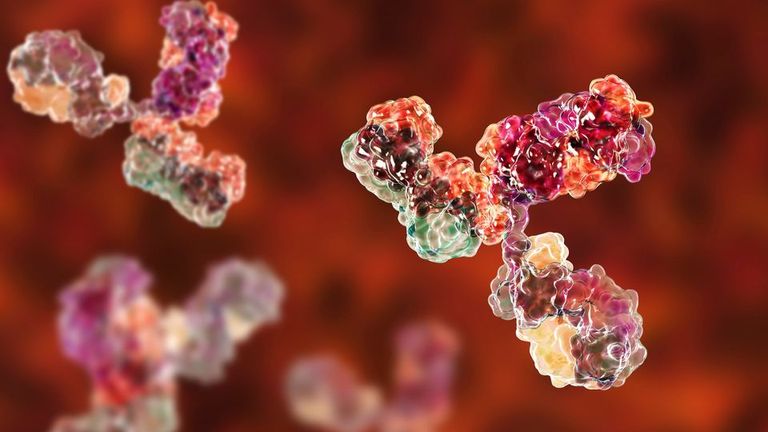 كشفت بنية البروتين "TcPOP"