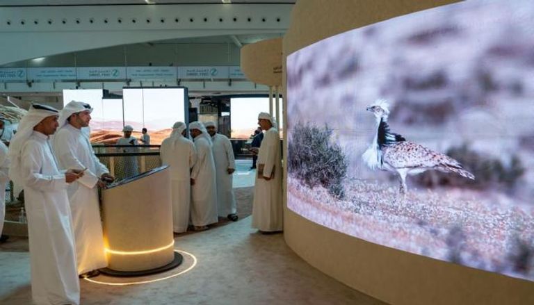 الصندوق الدولي للحفاظ على الحبارى