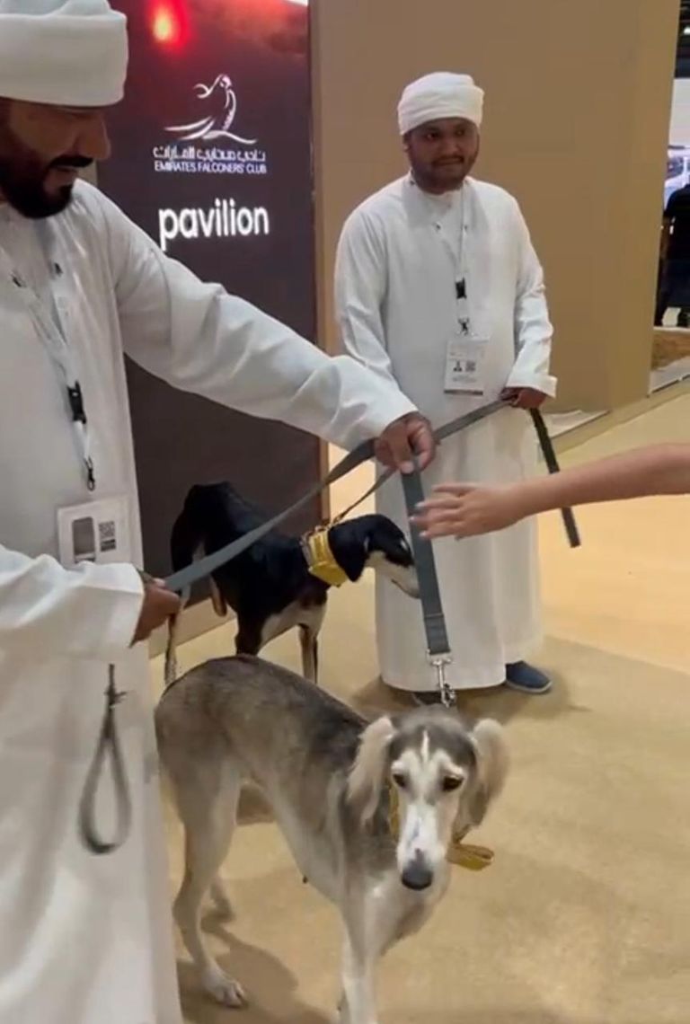 معرض الصيد والفروسية