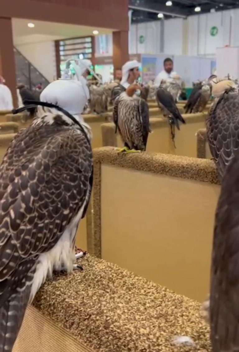 معرض الصيد والفروسية