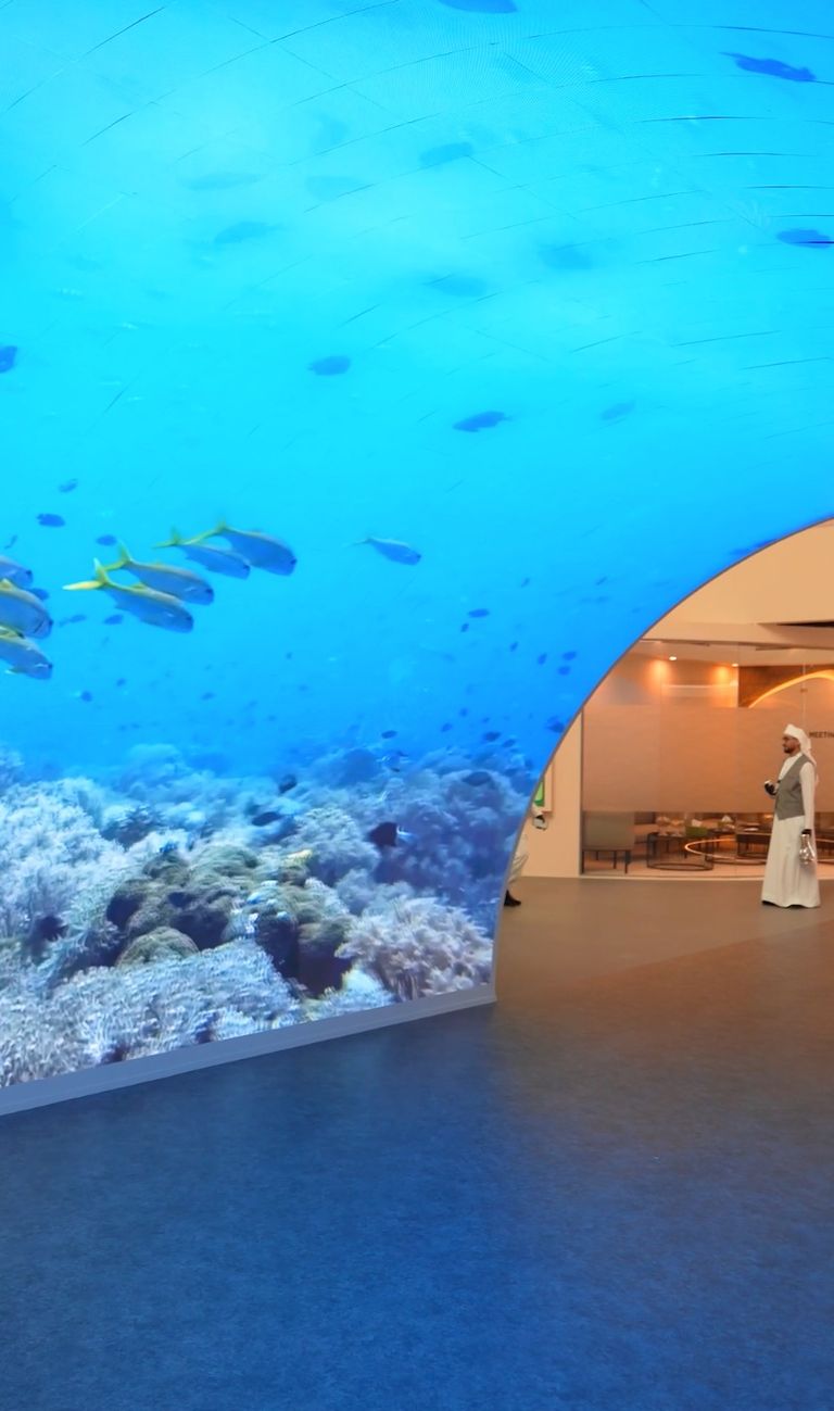 أروى ذياب محلل الشباب والمجتمع في هيئة البيئة بأبوظبي