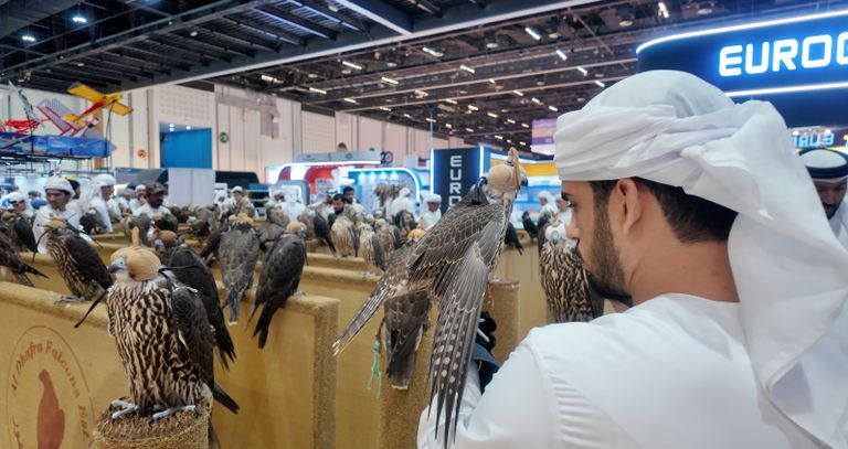 معرض أبوظبي الدولي للصيد والفروسية