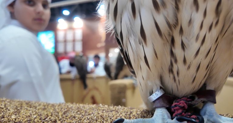 معرض أبوظبي الدولي للصيد والفروسية