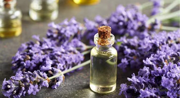 المكمل العشبي زيت اللافندر 