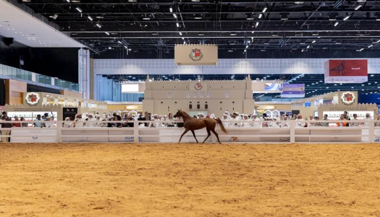 جمعية الإمارات للخيول العربية في معرض أبوظبي للصيد والفروسية
