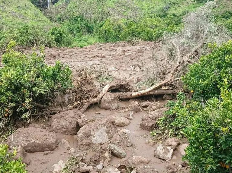 كارثة إنسانية في السودان