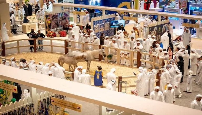أنشطة مجلس أبوظبي الرياضي في معرض الصيد والفروسية