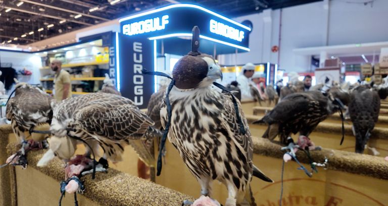 معرض أبوظبي الدولي للصيد والفروسية