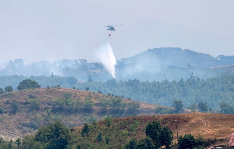 الإمارات نهج إنساني متواصل