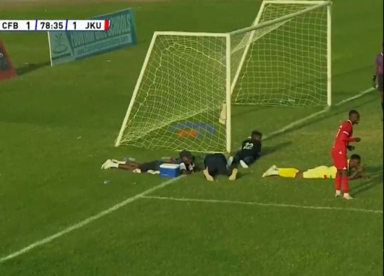 سرب نحل يغزو مباراة كرة قدم