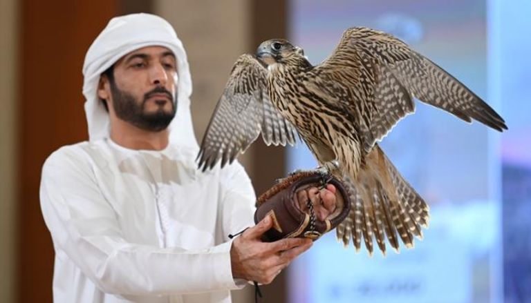أحد مزادات الصقور في معرض أبوظبي للصيد والفروسية 2025