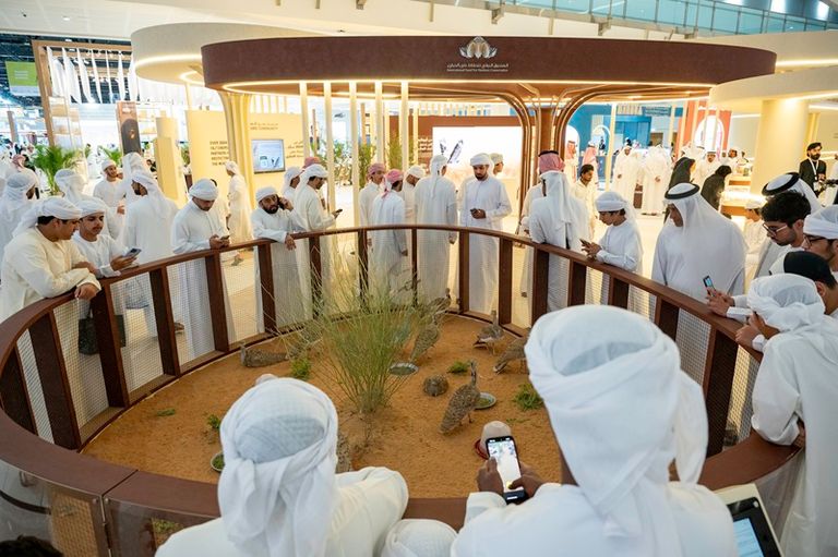 معرض أبوظبي للصيد والفروسية 2025