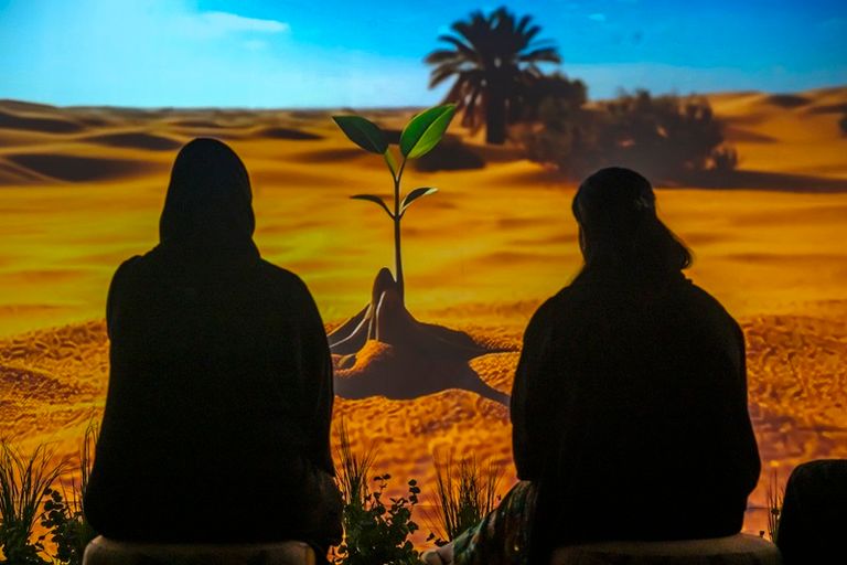معرض أبوظبي للصيد والفروسية 2025