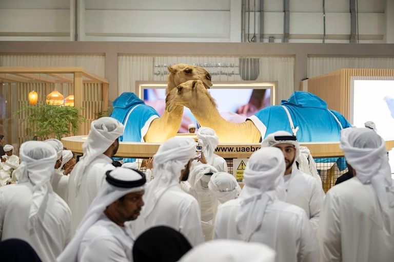 معرض أبوظبي الدولي للصيد والفروسية