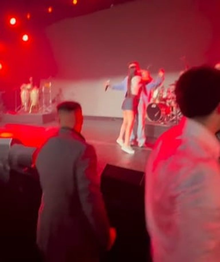 الفنان السوري الشامي