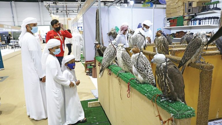 معرض أبوظبي الدولي للصيد والفروسية