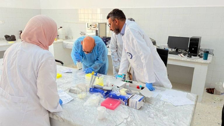 حملة لمكافحة طاعون الأغنام