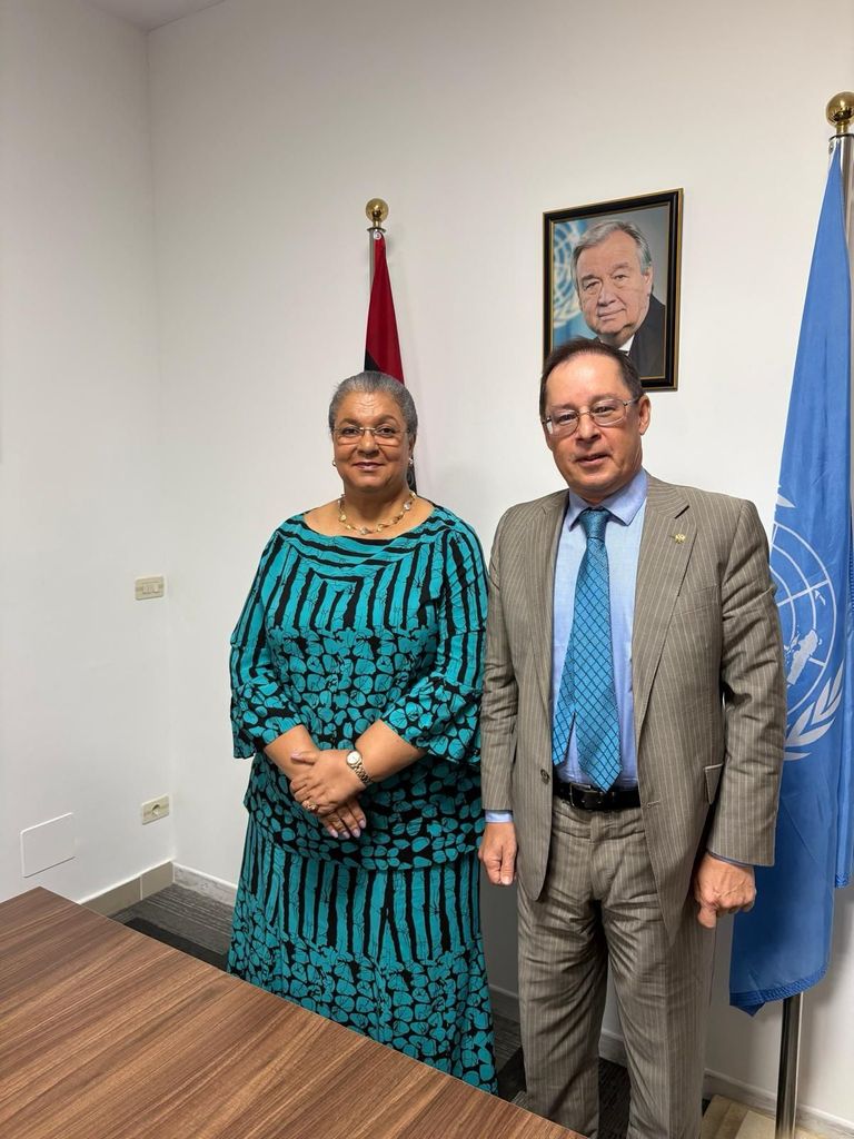 المبعوثة الأممية للدعم في ليبيا مع سفراء الدول الأعضاء بالاتحاد الأوروبي